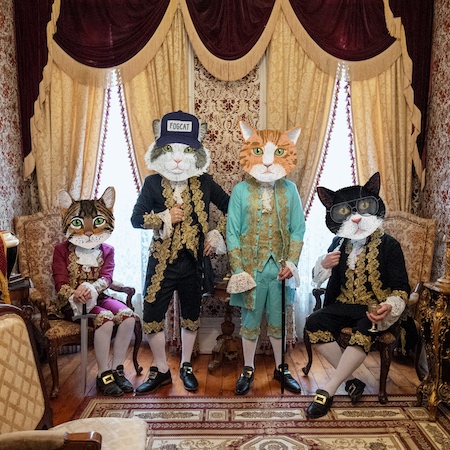 Fantastic Cat