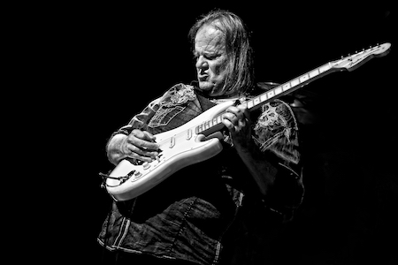 Walter  Trout